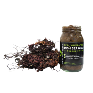 FSSeaMossGel.png IRISH SEA MOSS GEL