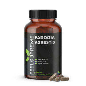 Fadogia_Agrestis_Capsules.png FADOGIA AGRESTIS CAPSULES